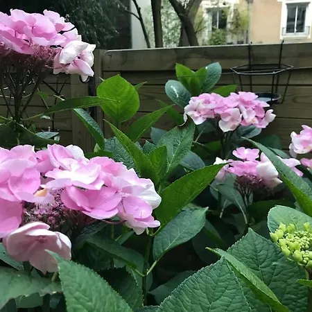 Διαμέρισμα Lumineux Avec Jardin