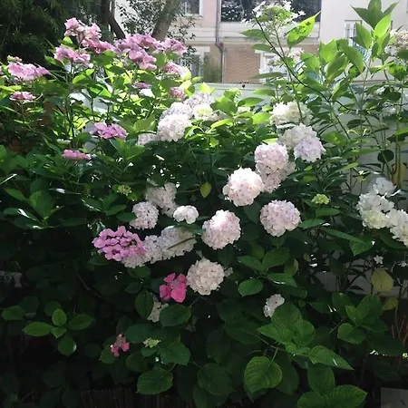 Διαμέρισμα Lumineux Avec Jardin *