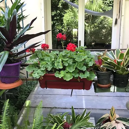 Διαμέρισμα Lumineux Avec Jardin Παρίσι